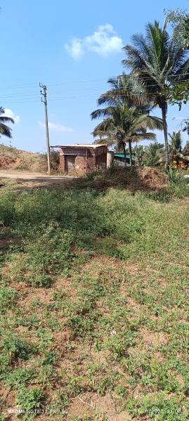  Farm House 15000 Sq.ft. for Sale in Channapatna, Bangalore