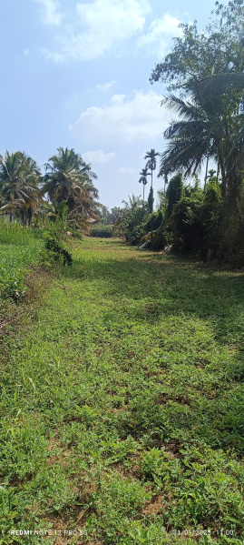  Farm House 15000 Sq.ft. for Sale in Channapatna, Bangalore