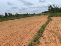 Industrial Land for Sale in Kempatti, Hosur