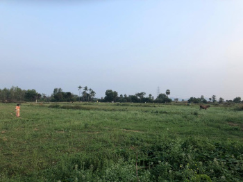  Agricultural Land for Sale in Melvisharam, Vellore