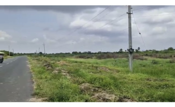  Industrial Land for Sale in Tadipatri, Anantapur
