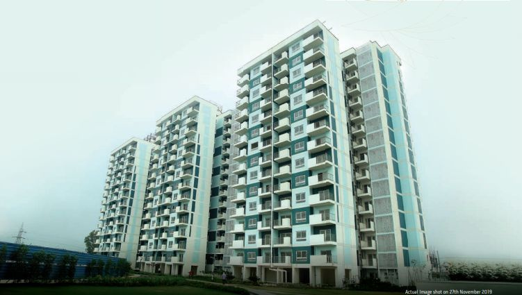 1 BHK Apartment 795 Sq.ft. for Sale in Sector 37 Bahadurgarh