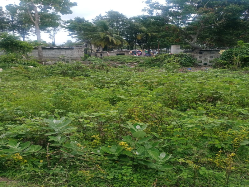  Residential Plot 1327 Sq.ft. for Sale in Magadi Road, Bangalore