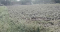  Residential Plot for Sale in Unchahar, RaeBareli