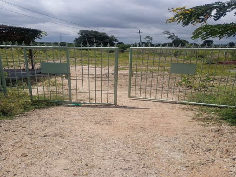  Agricultural Land 11 Acre for Sale in Doddadunnasandra, Bangalore