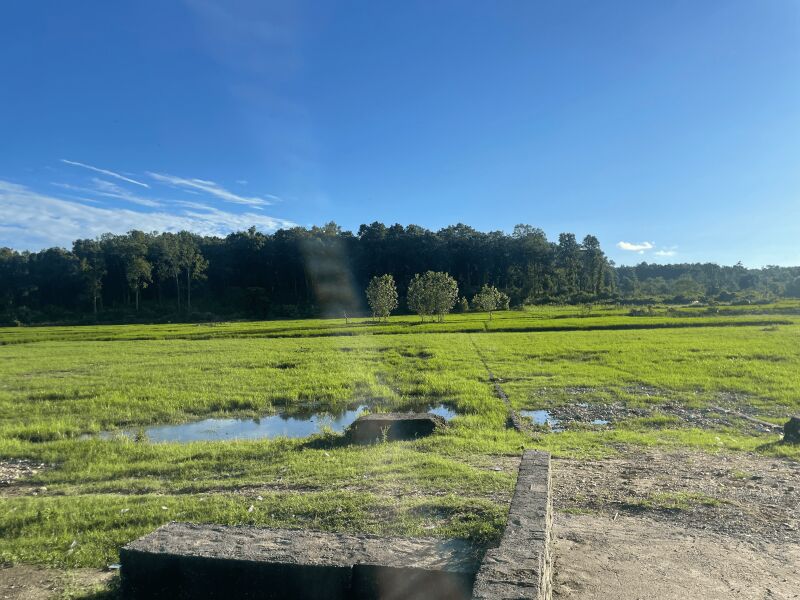  Residential Plot 150 Sq. Yards for Sale in Badowala, Dehradun
