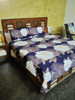 1 BHK House for Rent in Gujral Nagar, Jalandhar