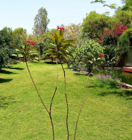 3 BHK Farm House for Sale in Sohna Palwal Road, Gurgaon