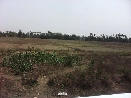  Agricultural Land 60 Bigha for Sale in Desuri, Pali