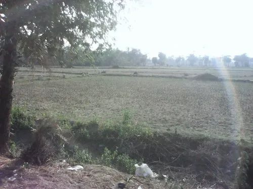  Agricultural Land 60 Bigha for Sale in Desuri, Pali