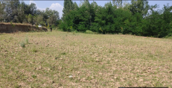  Agricultural Land for Sale in Awantipora, Pulwama