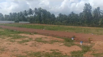  Residential Plot for Sale in Sengipatti, Thanjavur