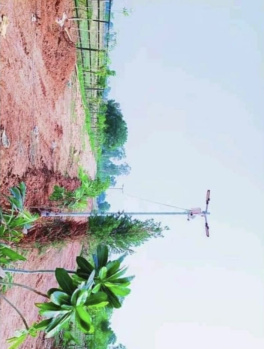  Residential Plot for Sale in Raipur Karchuliyan, Rewa