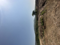  Industrial Land for Sale in Sector 3 New Panvel, Navi Mumbai