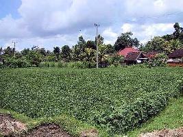 Agricultural Land for Sale in Sundaravelpuram, Thoothukudi