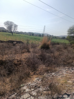  Agricultural Land for Sale in Ghiloth, Alwar
