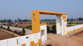  Residential Plot for Sale in Bhogapuram, Visakhapatnam