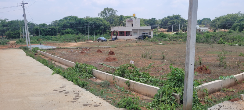  1200 Sq.ft. Residential Plot for Sale in Krishnarajanagar, Mysore