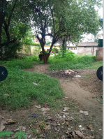  Residential Plot for Sale in Daltonganj, Palamu