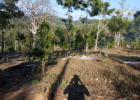  Agricultural Land for Sale in Adalur, Dindigul