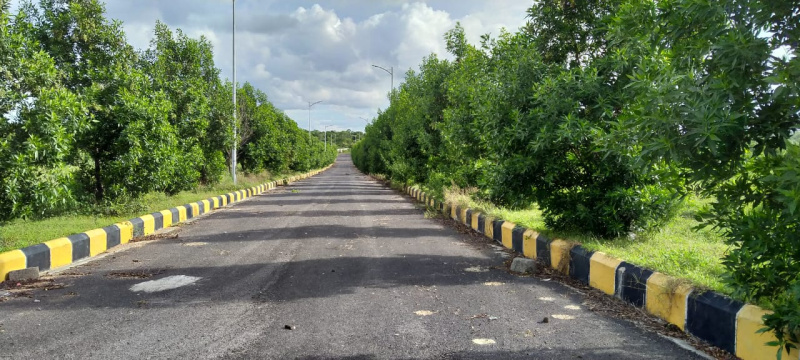  Residential Plot 267 Sq. Yards for Sale in Tupranpet, Hyderabad