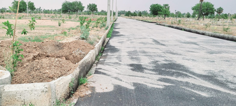  Residential Plot 150 Sq. Yards for Sale in Mansanpalle, Rangareddy