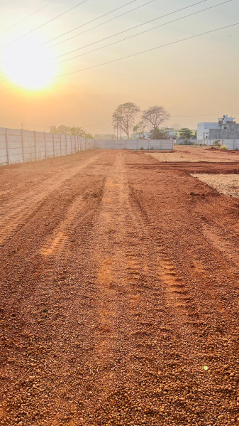  1200 Sq.ft. Residential Plot for Sale in Boria Kalan, Raipur