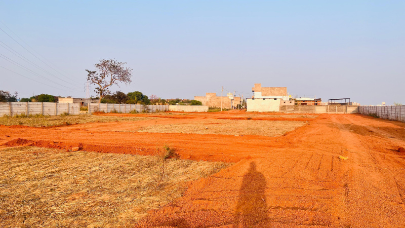  1200 Sq.ft. Residential Plot for Sale in Boria Kalan, Raipur