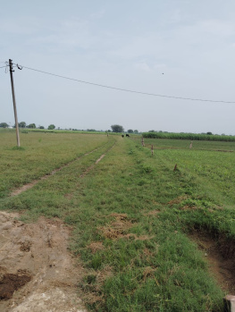  Agricultural Land for Sale in Issapur, Delhi