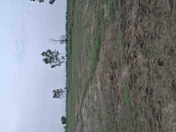  Agricultural Land for Sale in Garhmukteshwar, Hapur