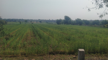  Agricultural Land for Sale in Maheshwar, Khargone
