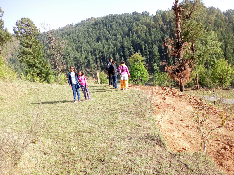  Residential Plot 2430 Sq.ft. for Sale in Lohaghat, Champawat