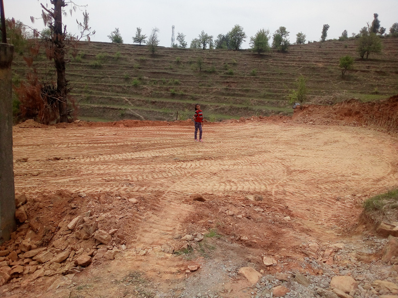  Residential Plot 2430 Sq.ft. for Sale in Lohaghat, Champawat