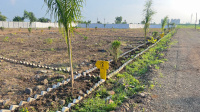  Residential Plot for Sale in Borkhedi, Nagpur