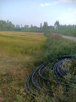  Agricultural Land for Sale in Nagina, Bijnor