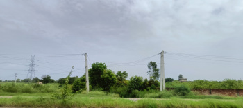  Agricultural Land for Sale in Pataudi, Gurgaon