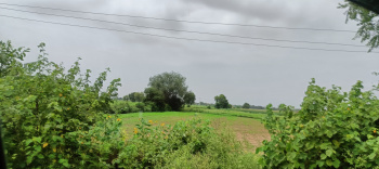 Agricultural Land for Sale in Pataudi, Gurgaon