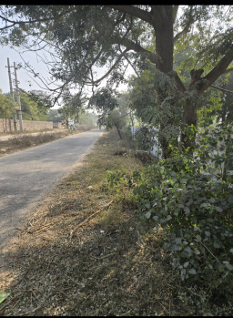 Agricultural Land for Sale in Badshahpur, Gurgaon