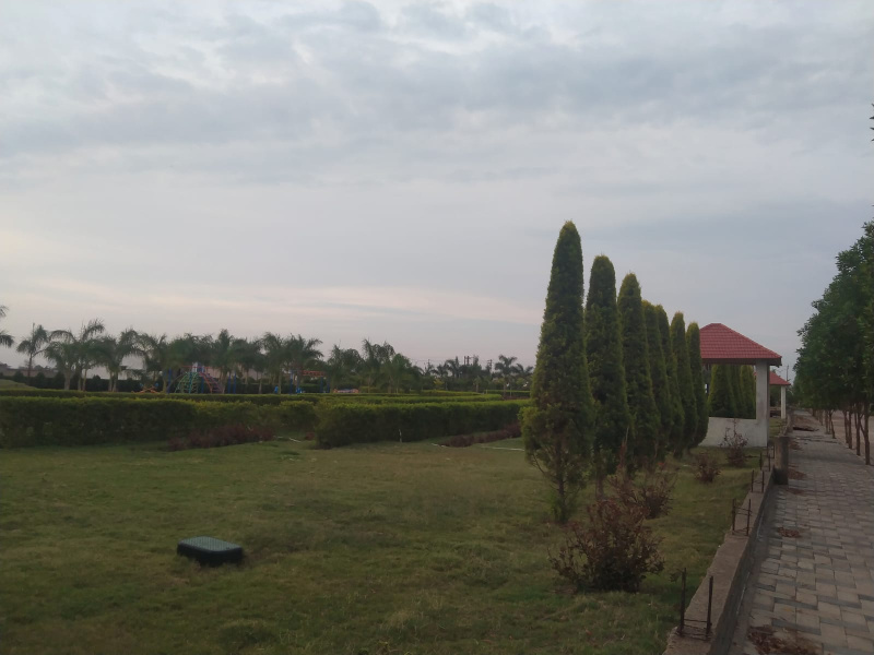  Residential Plot 1000 Sq.ft. for Sale in Santoshi Nagar, Raipur