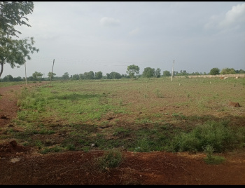  Agricultural Land for Sale in Datrenga, Raipur