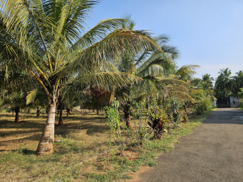  Agricultural Land for Sale in Periya Negamam, Coimbatore