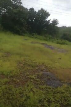  Agricultural Land for Sale in Indapur, Raigad