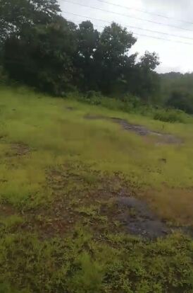  Agricultural Land 59 Acre for Sale in Indapur, Raigad