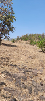  Agricultural Land for Sale in Jawhar, Thane