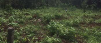  Commercial Land for Sale in Paruthipully, Palakkad