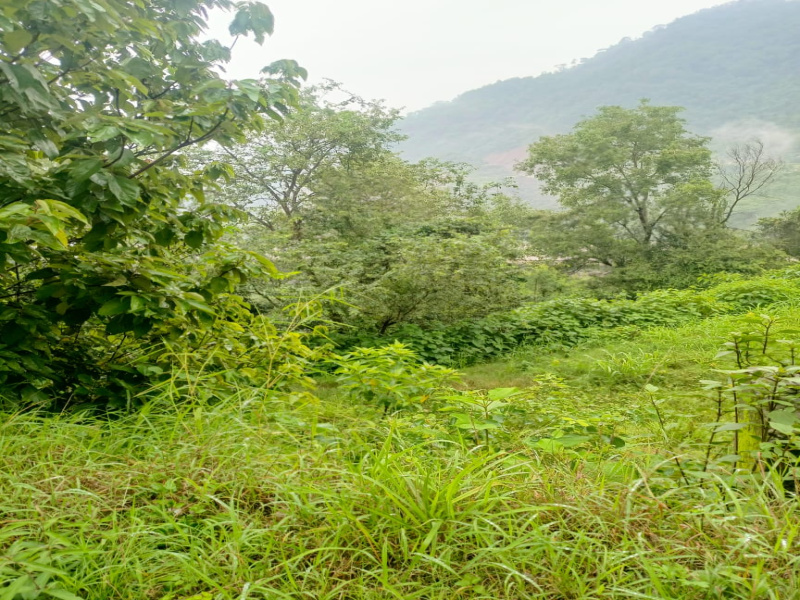  Residential Plot 272250 Sq.ft. for Sale in NH-154, Bilaspur
