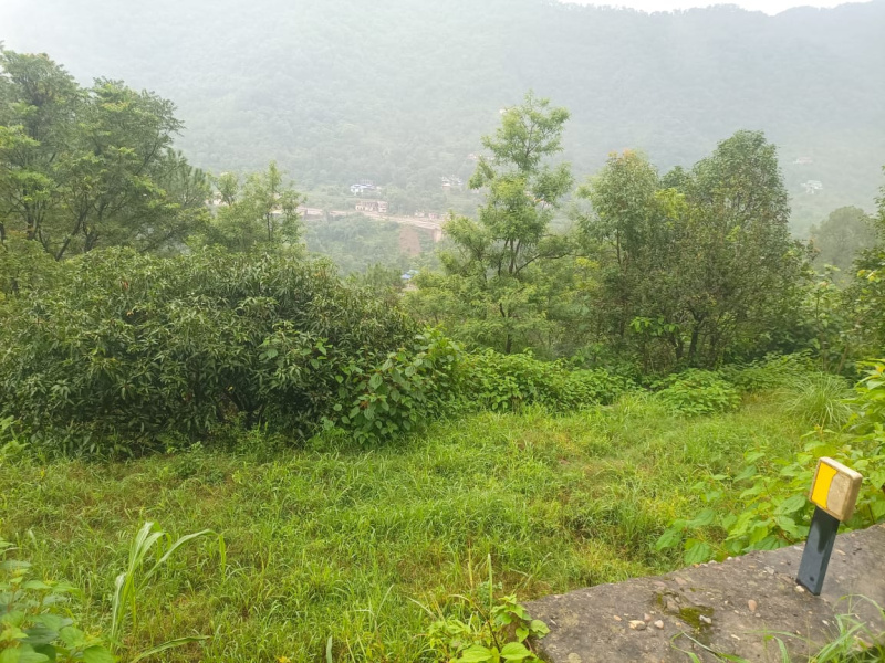  Residential Plot 272250 Sq.ft. for Sale in NH-154, Bilaspur