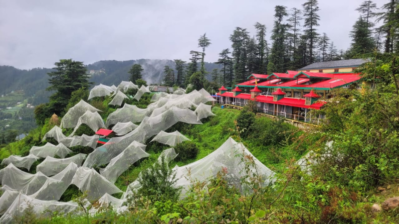  5000 Sq.ft. Guest House for Rent in Kufri, Shimla