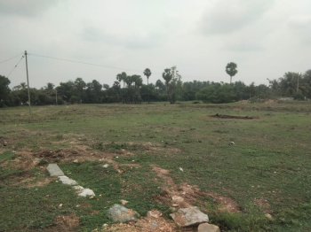  Agricultural Land for Sale in Puliampatti, Erode