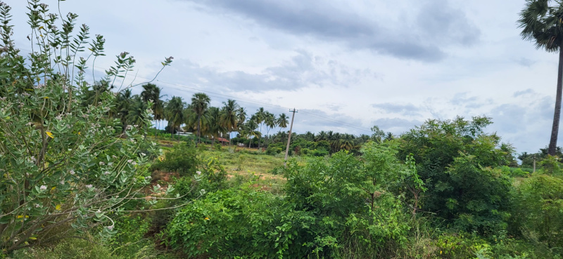  Residential Plot 11 Acre for Sale in Gobichettipalayam, Erode